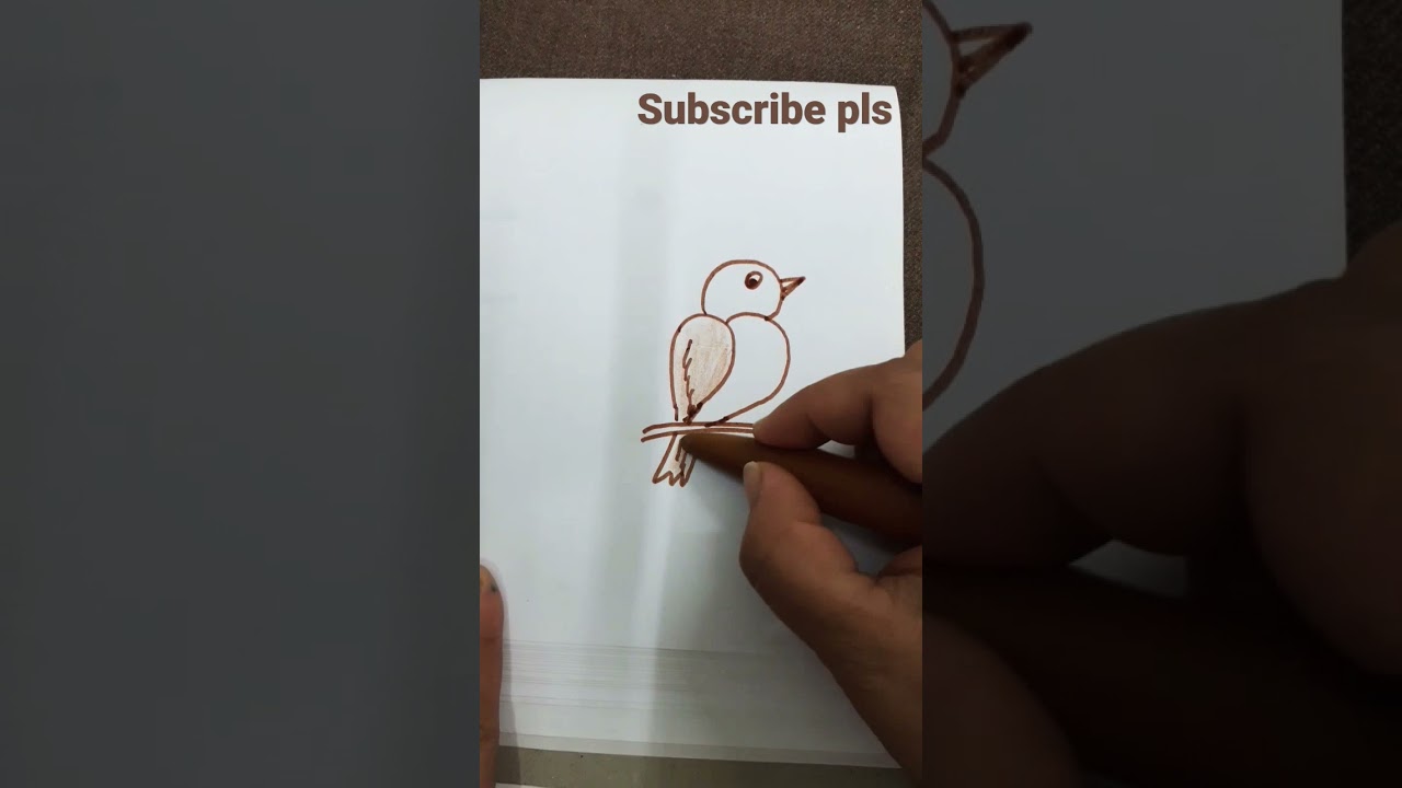 how to draw a cute bird #shorts #art #drawing #sketchbird #cutecartoon #painting
