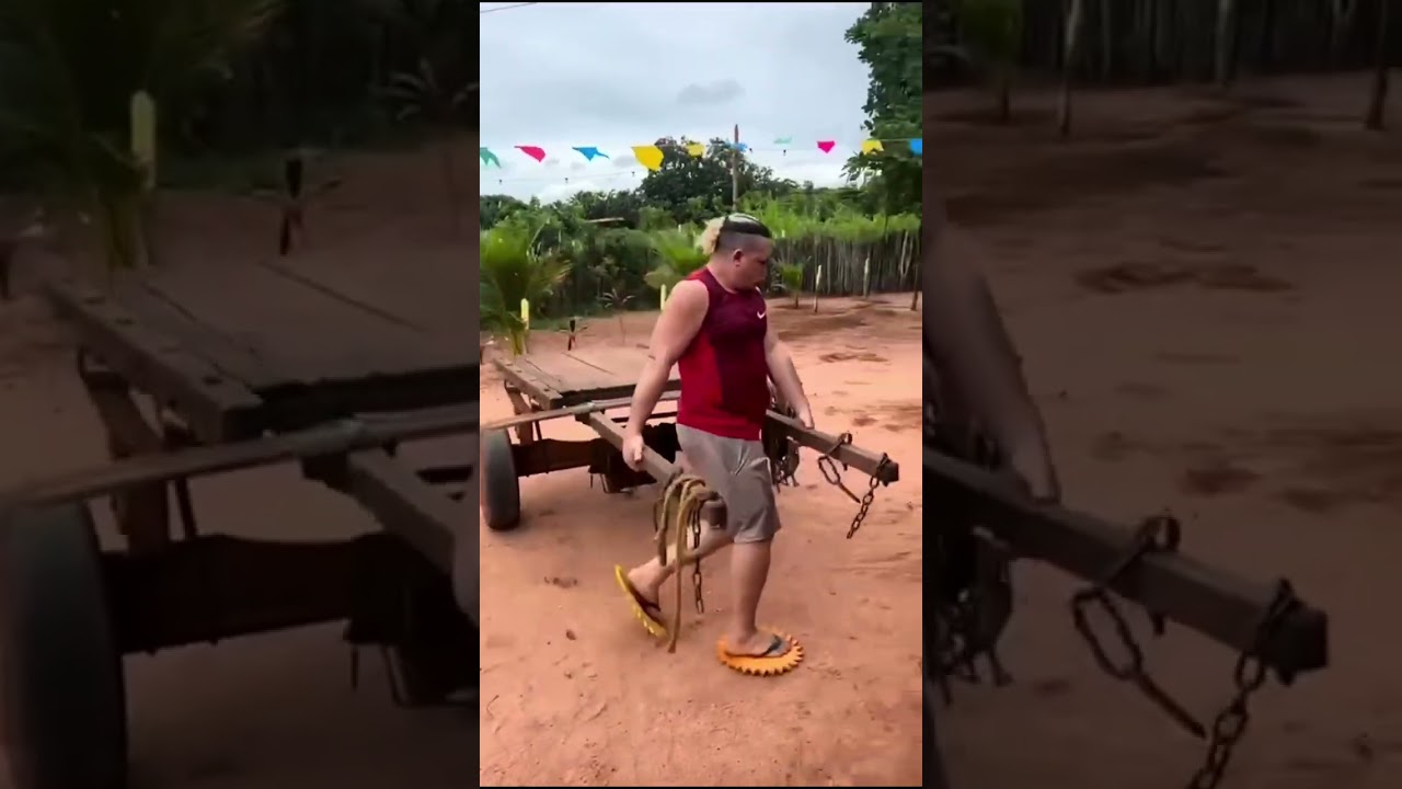 Melhores da semana 