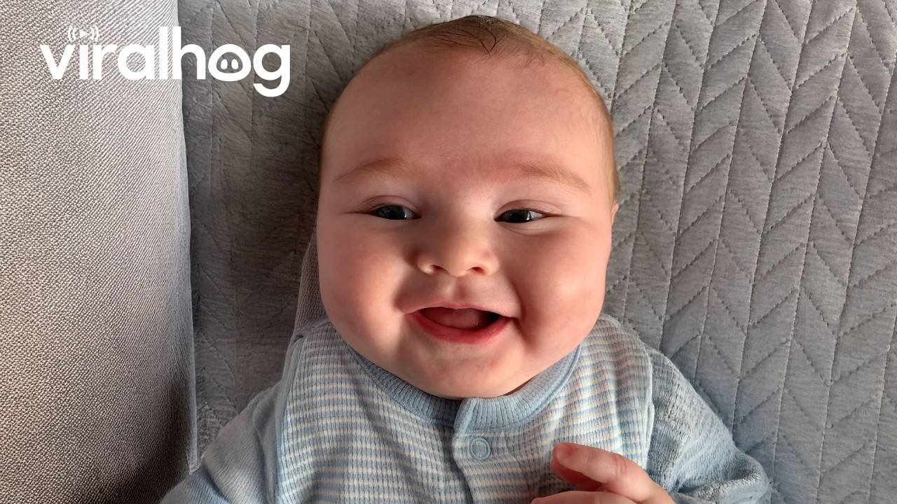Hilarious Baby Giggles That Will Make Your Day || ViralHog