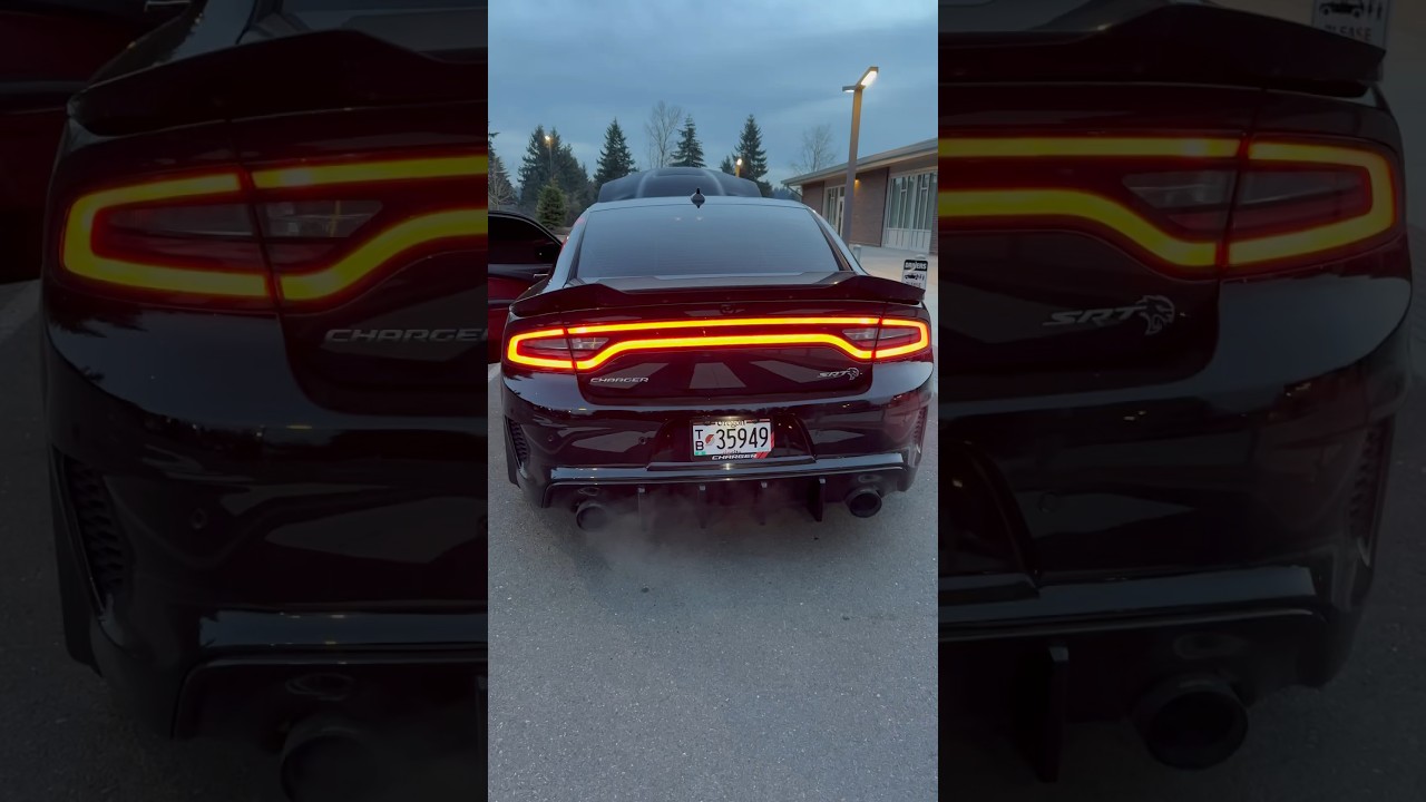 HELLCAT REV