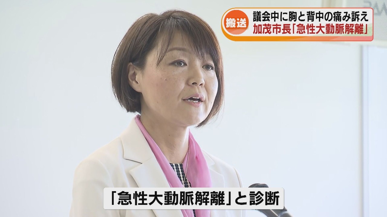 【緊急搬送】加茂市の藤田明美市長「急性大動脈解離」と診断　本議会中に胸と背中の痛み訴え　復帰未定…副市長が代理《新潟》