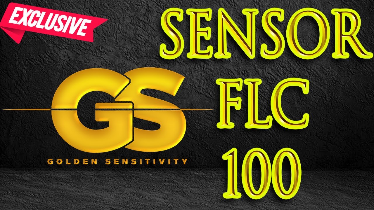 SENSORS FLC 100 + ANALOG GRADIOMETER