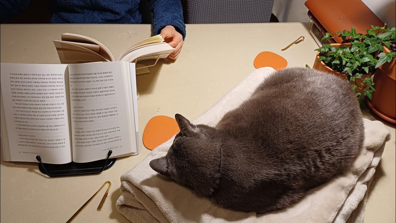 출근 전, 📚 독서와 ☕️ 커피타임 함께해요.🤍