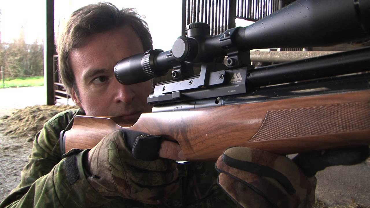 Hunting with AirGuns  - Air Hunters - Its Pigeon Time - Air Gun Hunting