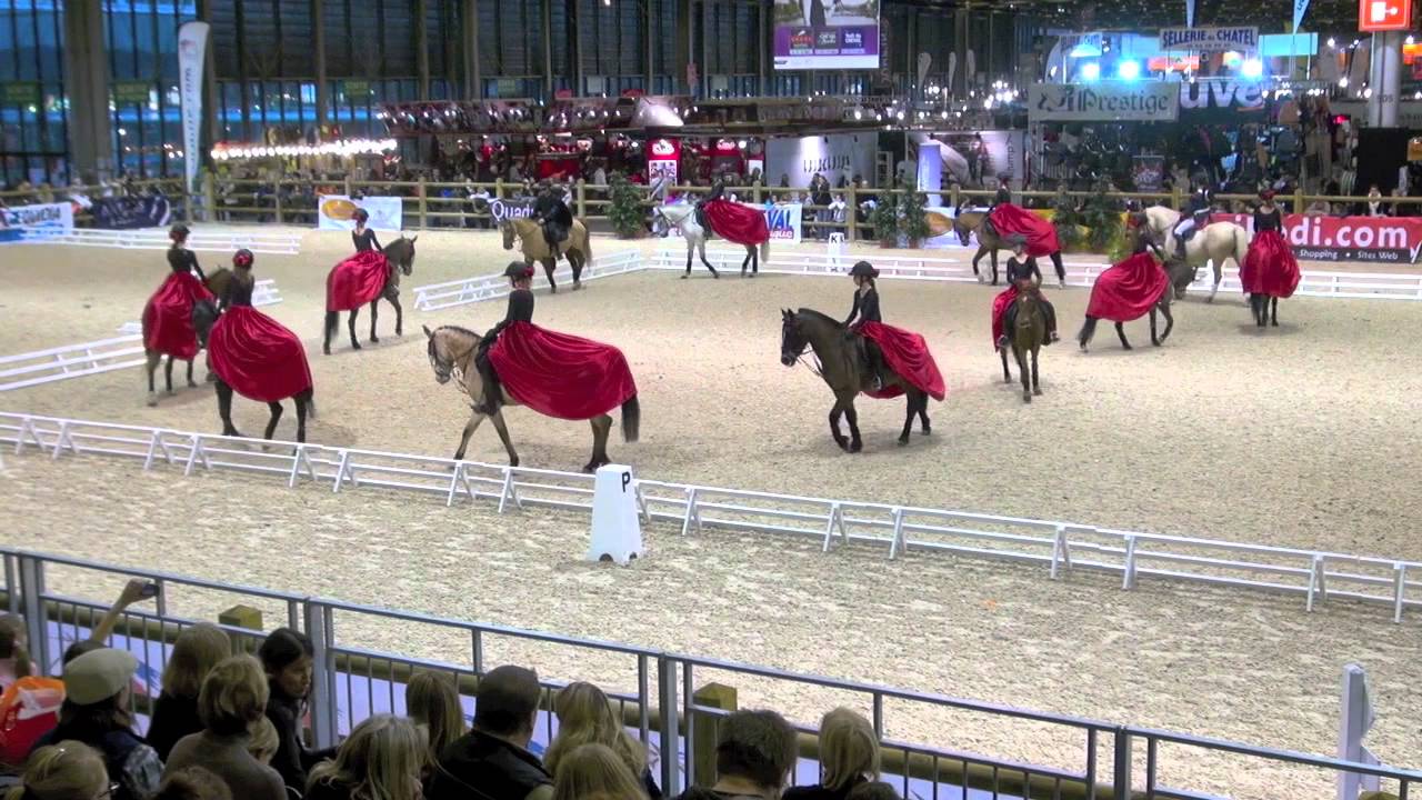 Ch. de FRANCE 🇫🇷 CARROUSEL - Salon du CHEVAL 2011