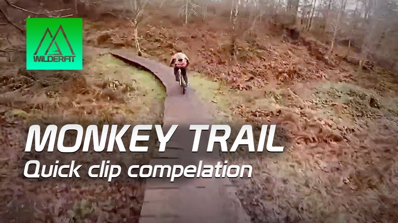 The Monkey Trail Cannock Chase - Few GoPro shots