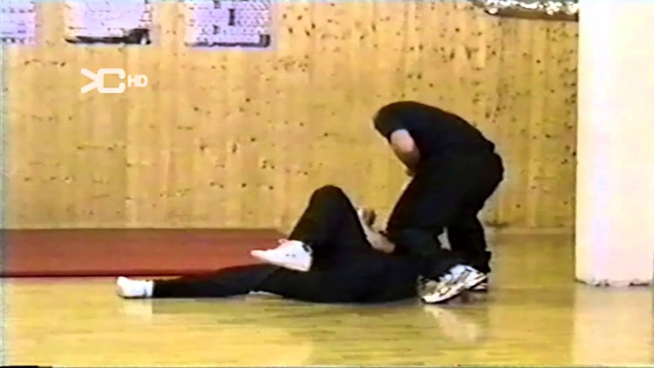 wing chun vs Clinch and Wresler sifu janis