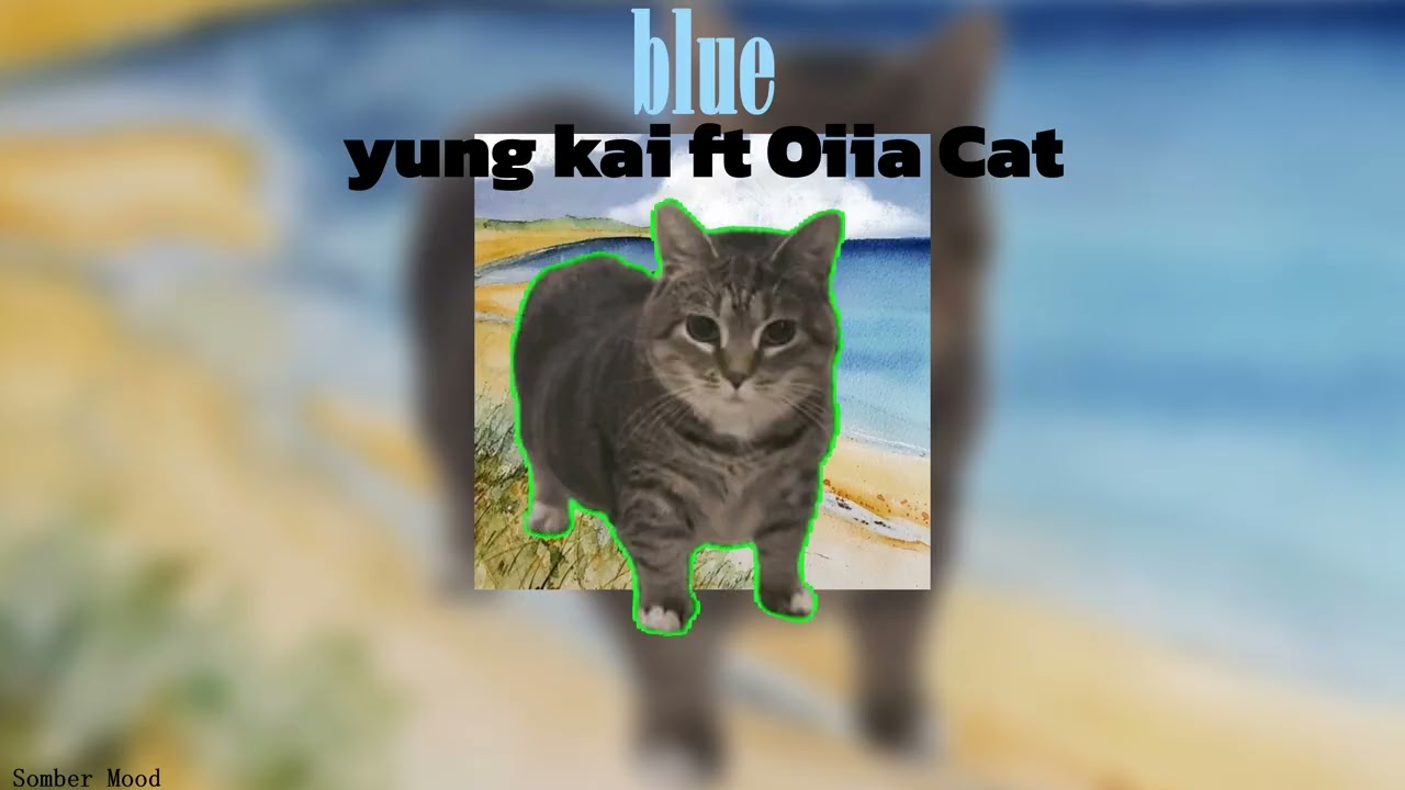 yung kai ft Oiia Cat - blue (อุอิอ๊า) | THAI SUB | เพลงสากลแปลไทย