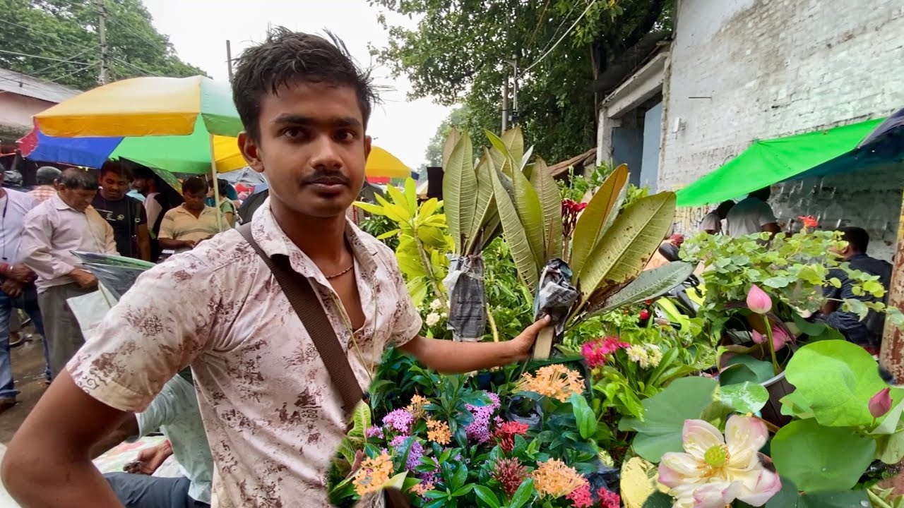 GALIFF STREET PLANT MARKET SRI GOBINDA NURSERY VISIT | KOLKATA NURSERY MARKET | Best Flowers Forever