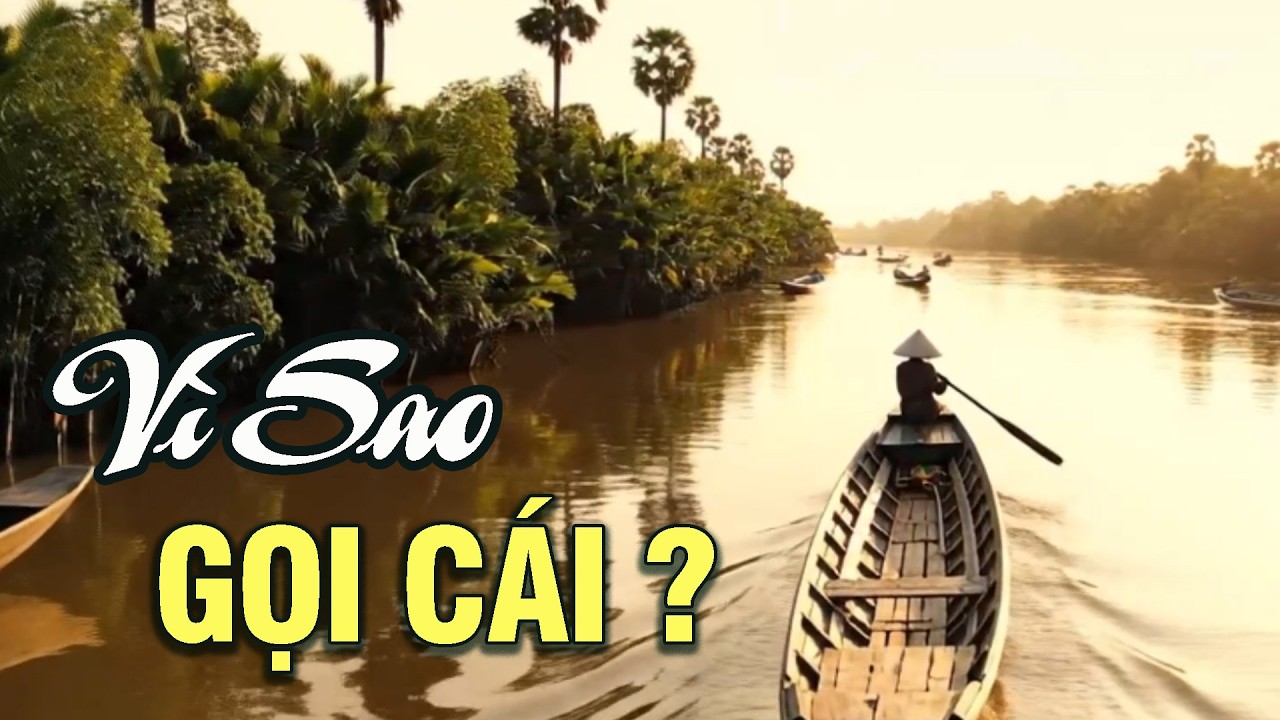 Vì Sao Sông Miền Tây Hay Có Chữ “Cái”? | Chợ Ký Ức