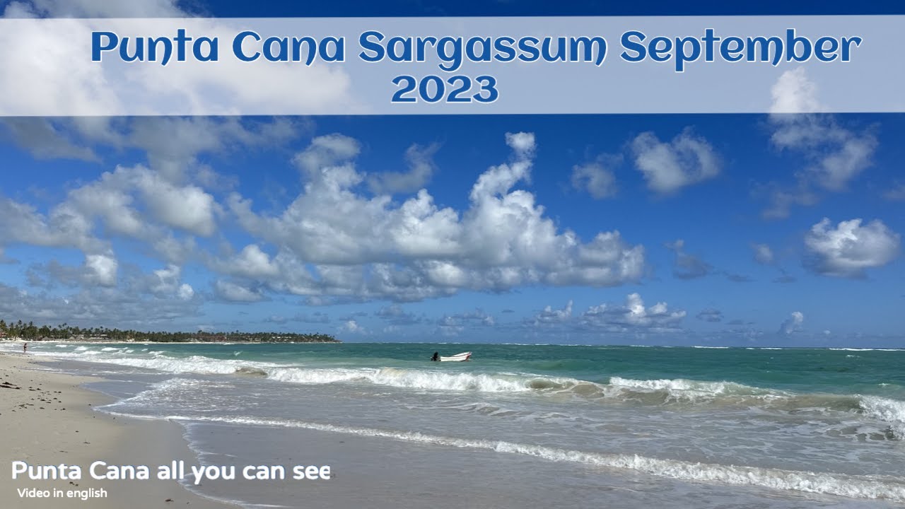 Sept. Sargassum Report Palladium, Occidental, Bavaro Princess, Sunscape, Jewels , & Dreams Flora