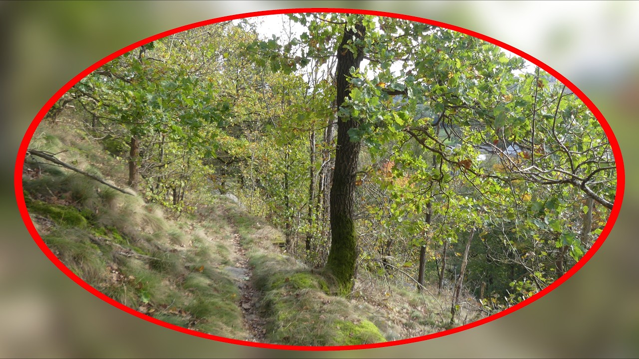 Die Augustusburg im Visier - Wandern rund um Leubsdorf