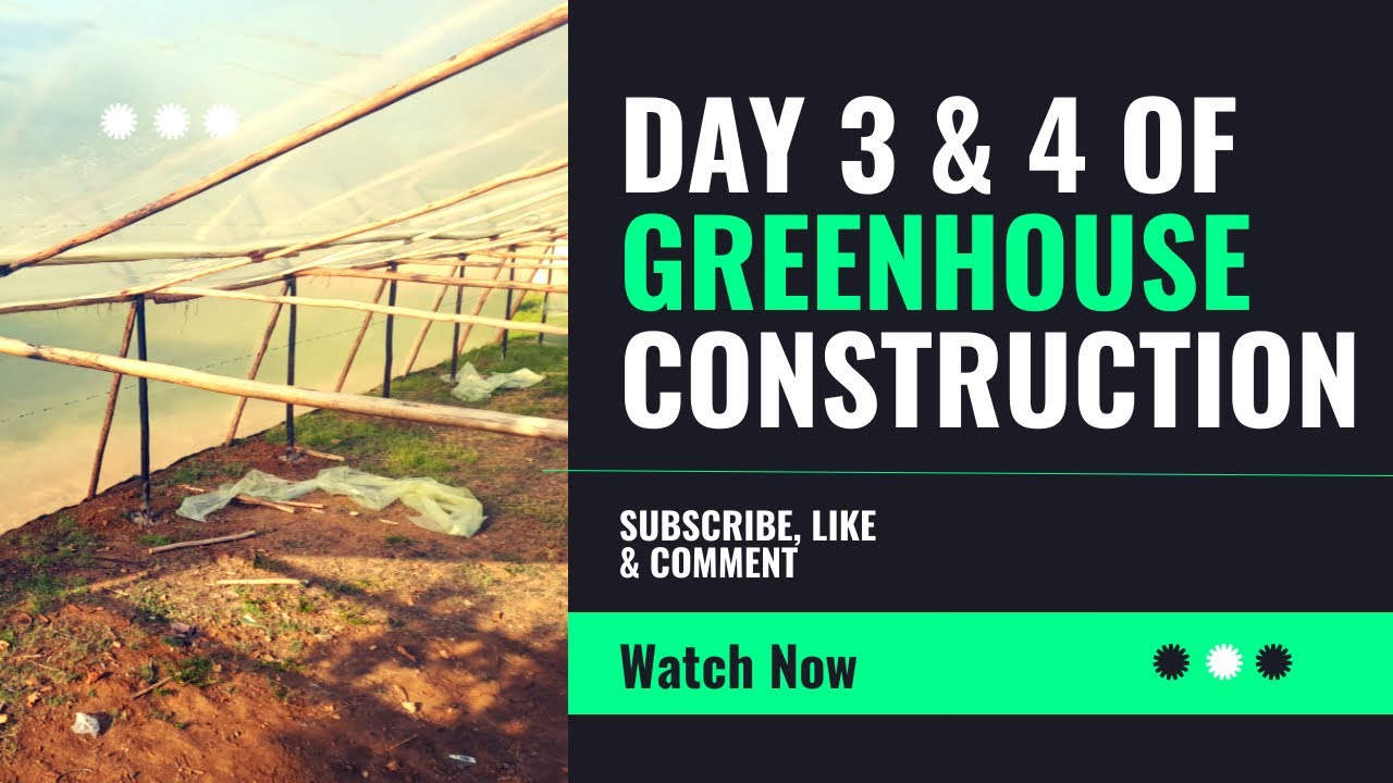 Backyard Wooden Structure Greenhouse Construction In Zimbabwe 2nd Update