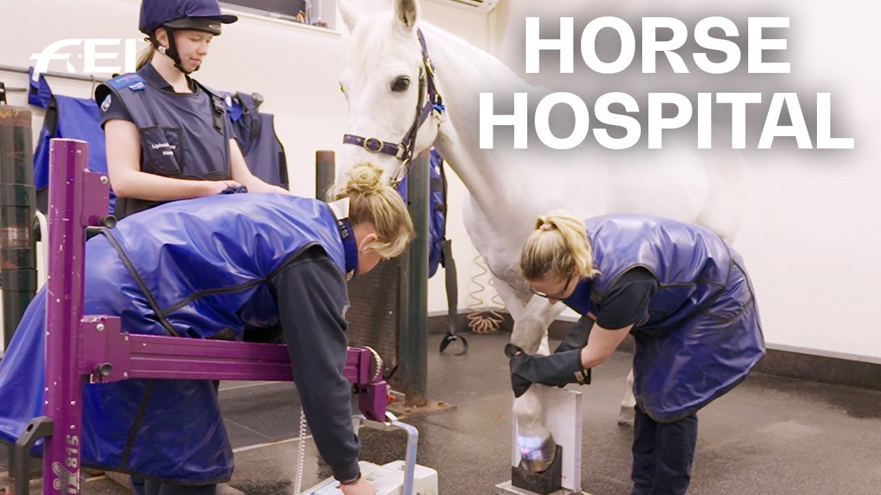 The Liphook Equine Hospital | RIDE presented by Longines