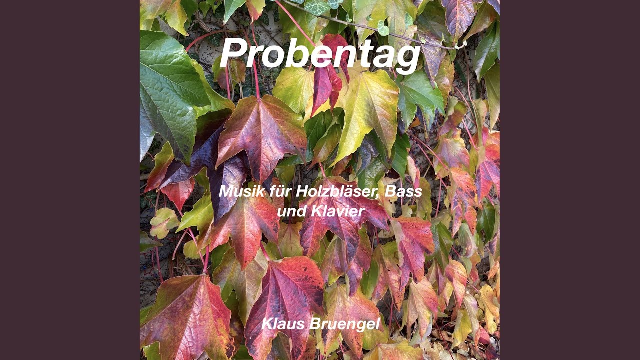 Probentag (Musik f&uuml;r Holzbl&auml;ser, Bass und Klavier)
