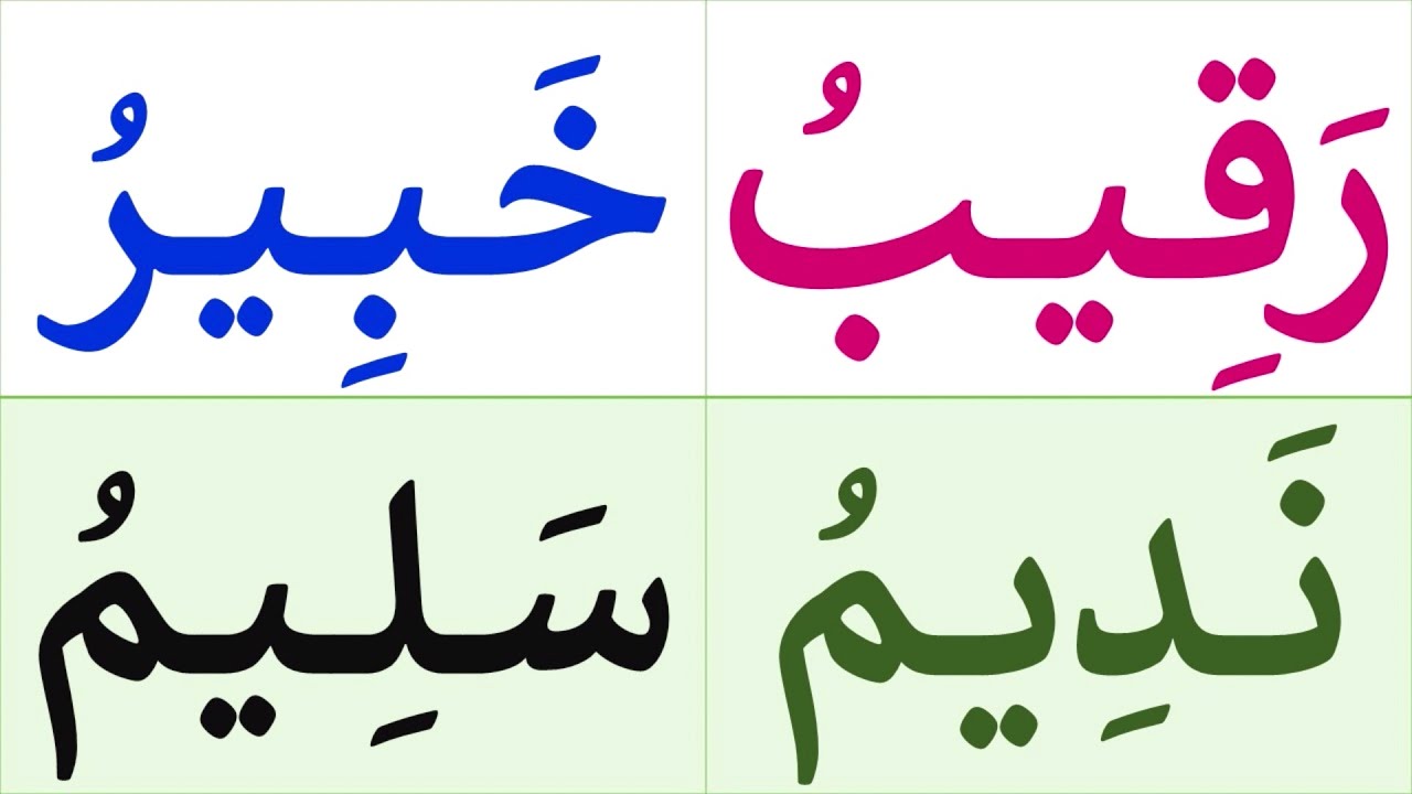 تعلم قراءة كلمات متنوعة مع الحركات - إملاء - تعلم اللغة العربية