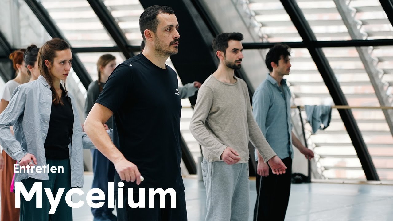 Mycelium  - Entretien avec Christos Papadopoulos