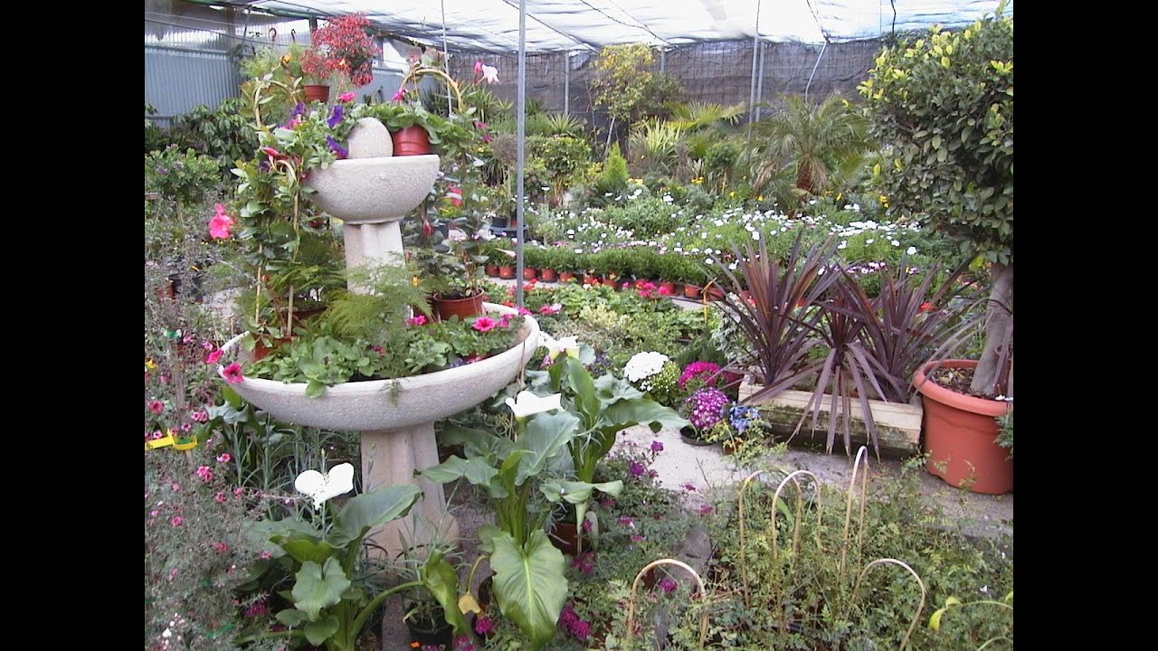 VIVERO DE PLANTAS ORNAMENTALES PRIMERA PARTE