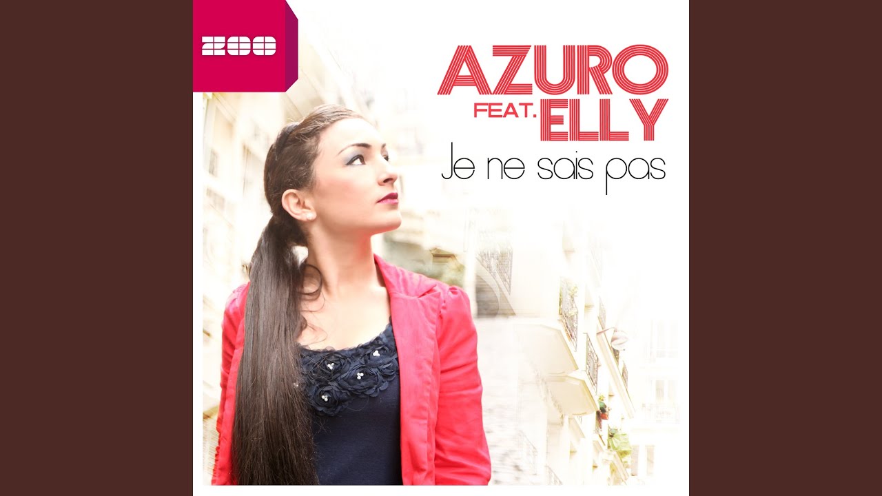 Je ne sais pas (R.I.O. Remix)