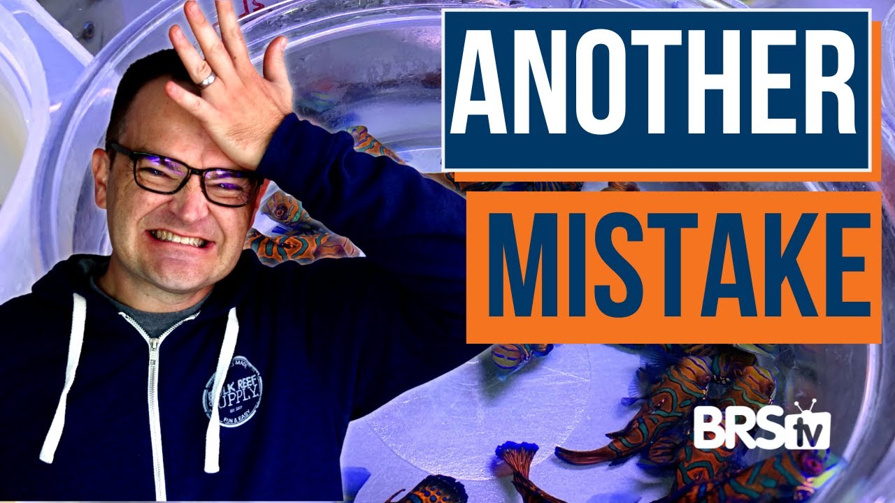40 Beginner Reef Tank Mistakes & How to Avoid Them! EP: 11