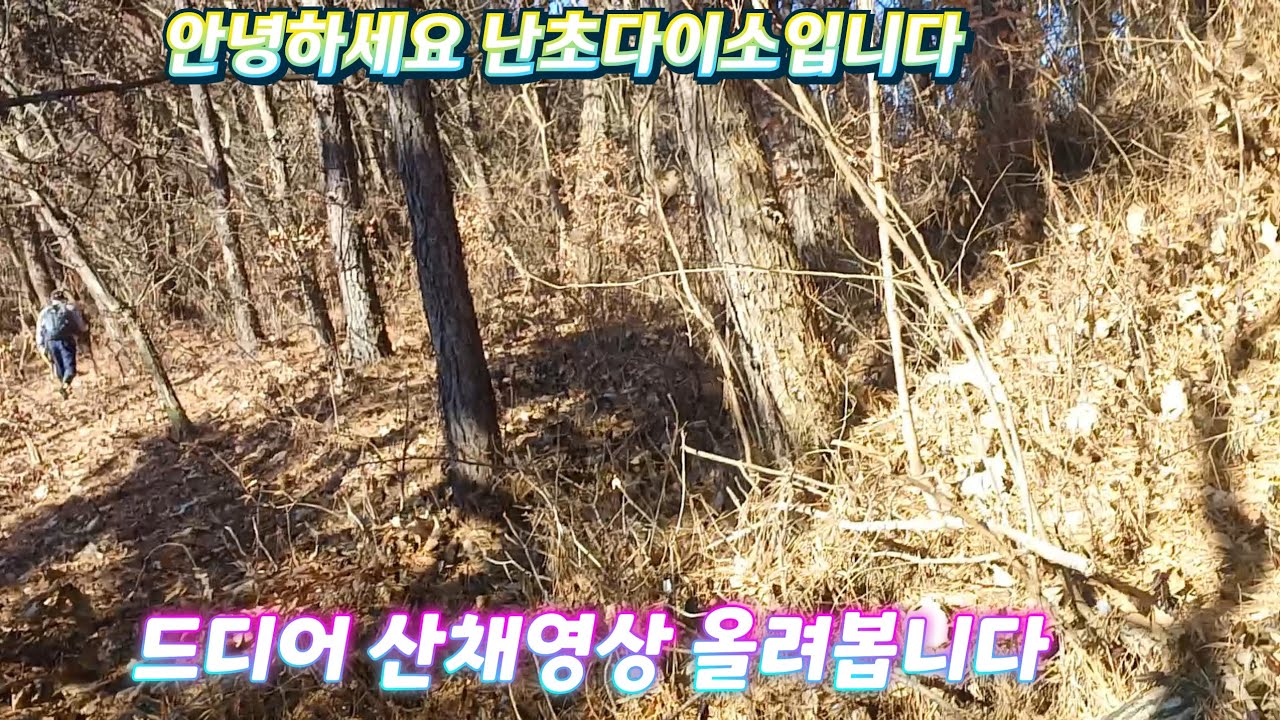 2월9일(월요일)산채다녀왔어요