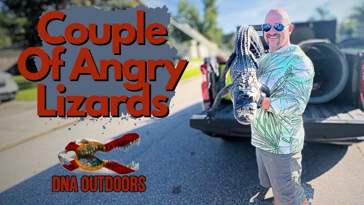 Couple Of ANGRY Lizards🐊🐊 {Nuisance Alligators}
