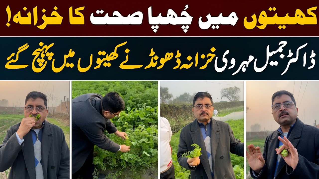 The Hidden Treasure of Health Found in the Fields!