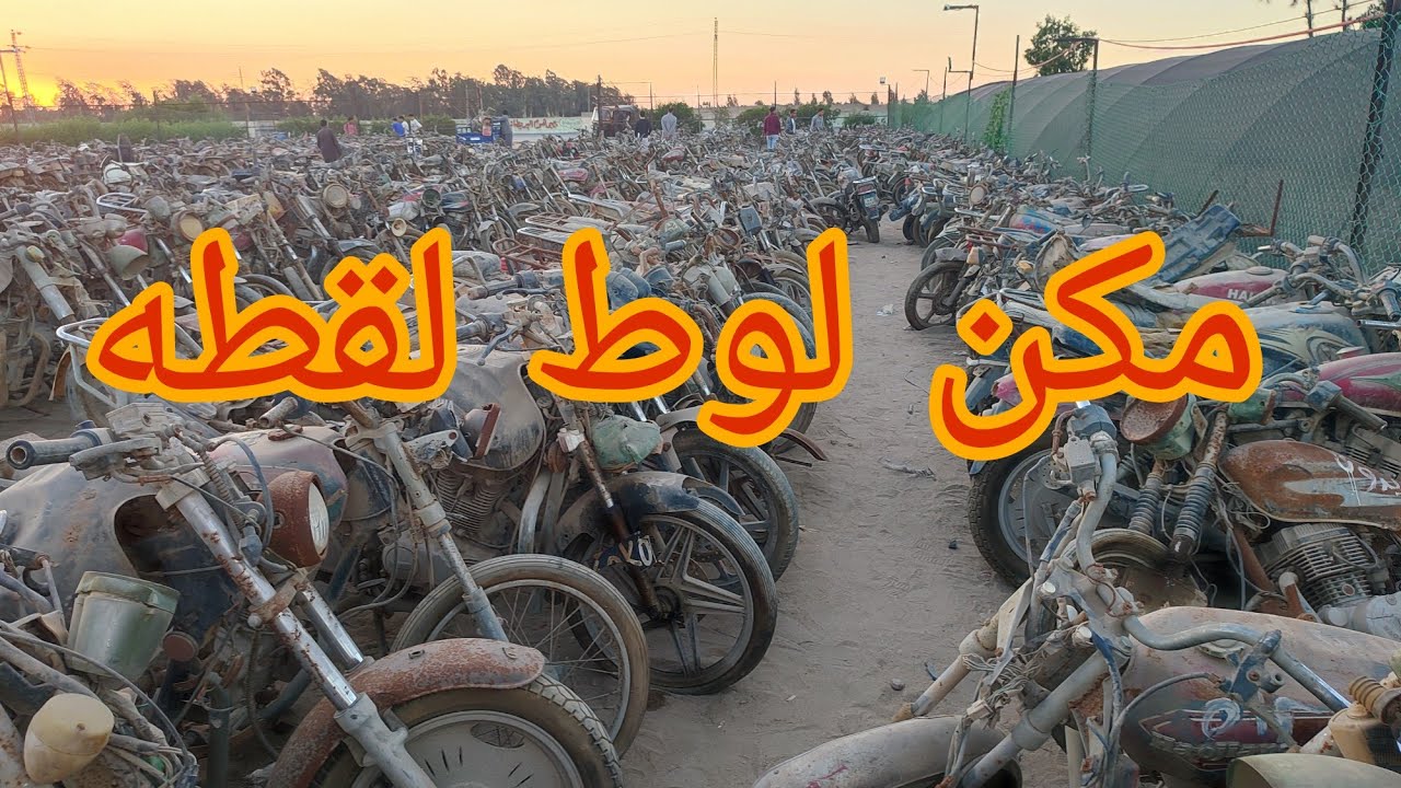 مكن لوط بالكيلو اسعار ببلاش 