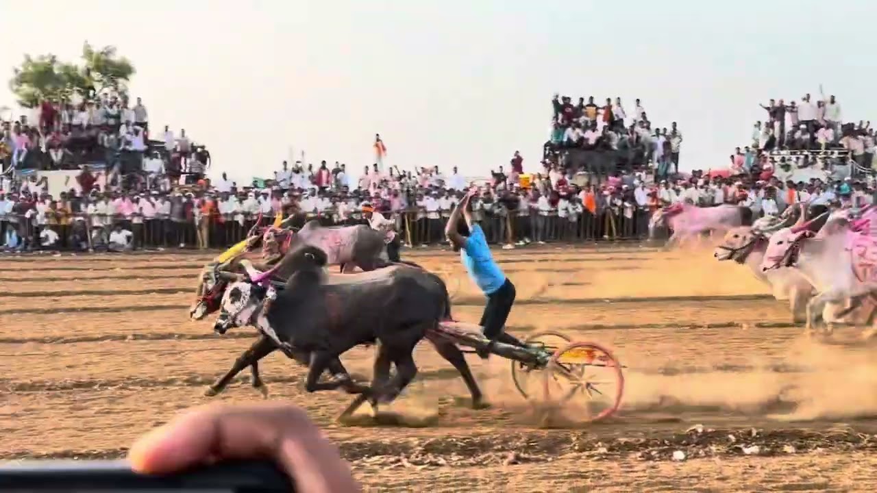 Mathur 1001 win