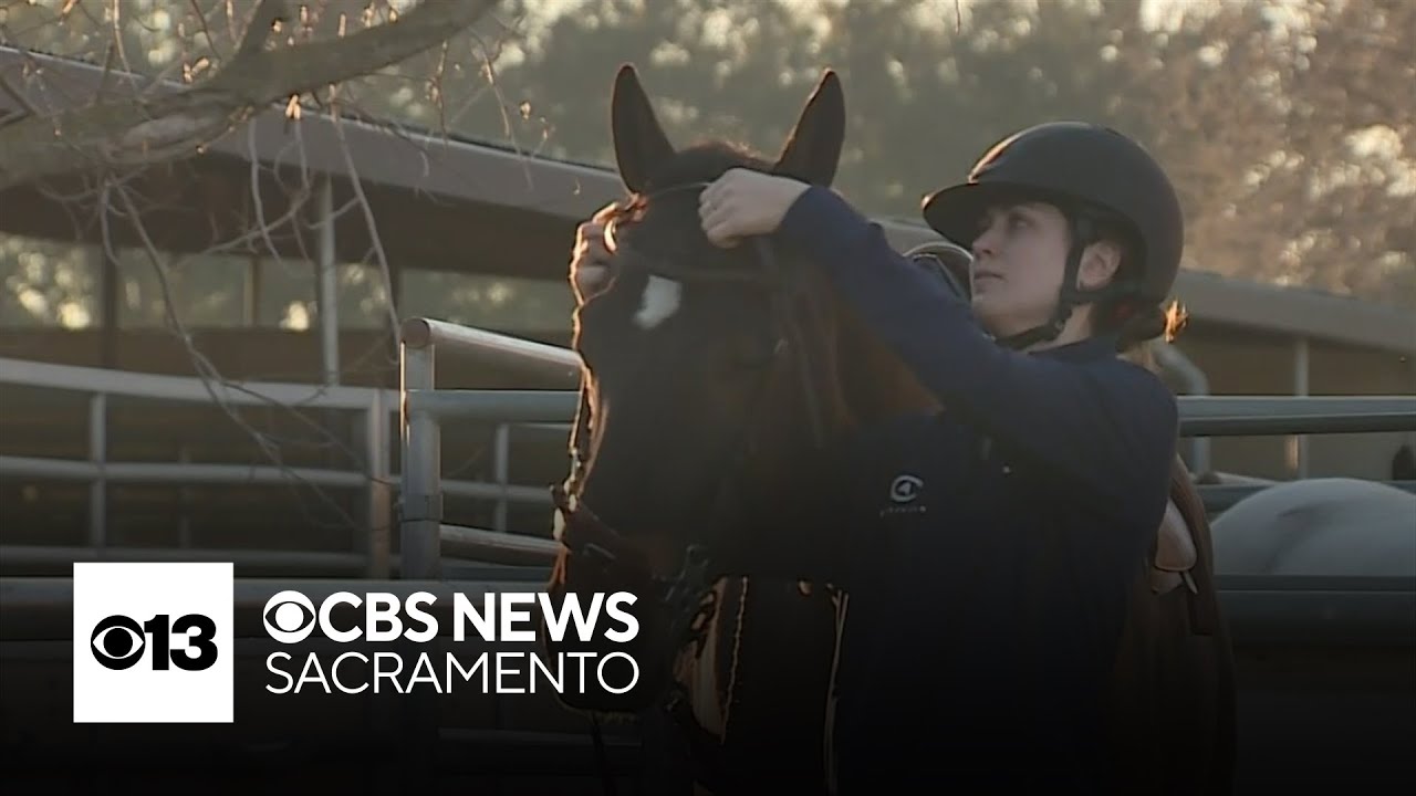 UC Davis to drop varsity equestrian program after 8 years