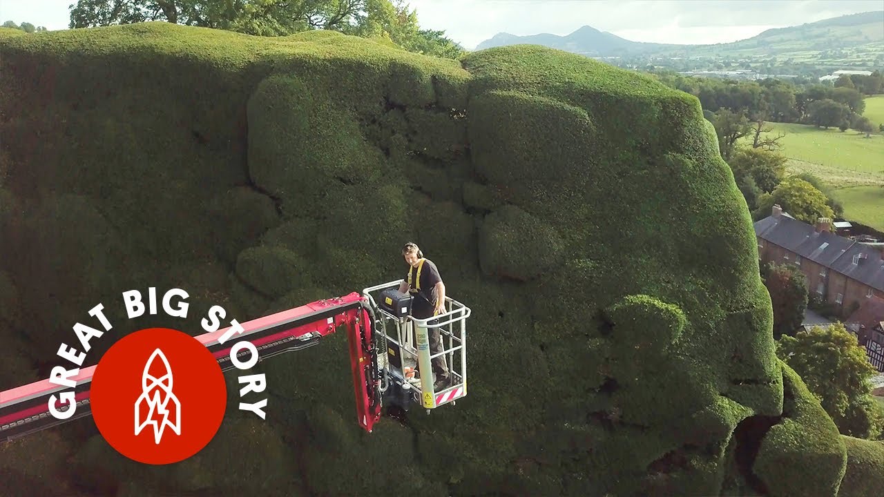 What It Takes to Maintain the Biggest Hedges in the U.K.