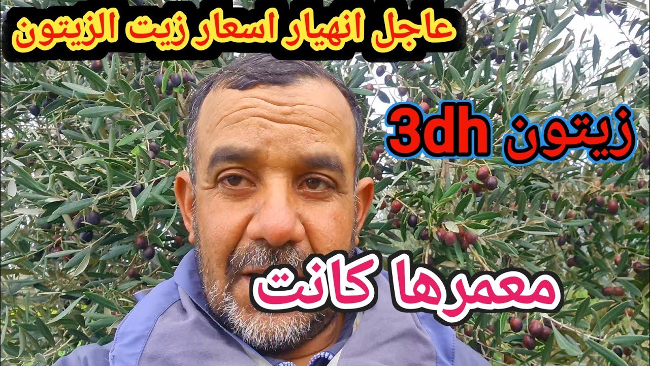عاجل انهيار جديد في أسعار الزيت والزيتون والمنة خيالية