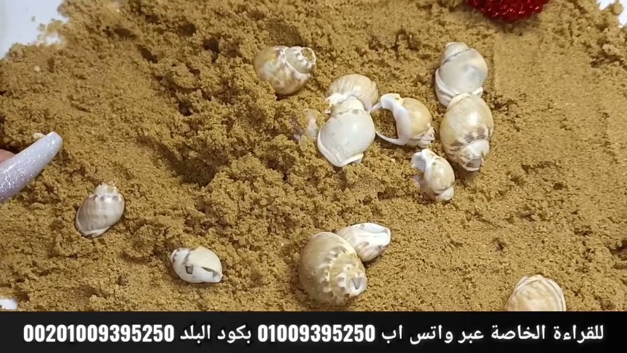 قراءة برج الحمل♈بضربة الوداع🔥 الصلح حيتم👌حلم حتعرف منه مكان سحرك⛔عينك حتركز مع حد وحتتفاجئ منه✔️حسد🧿