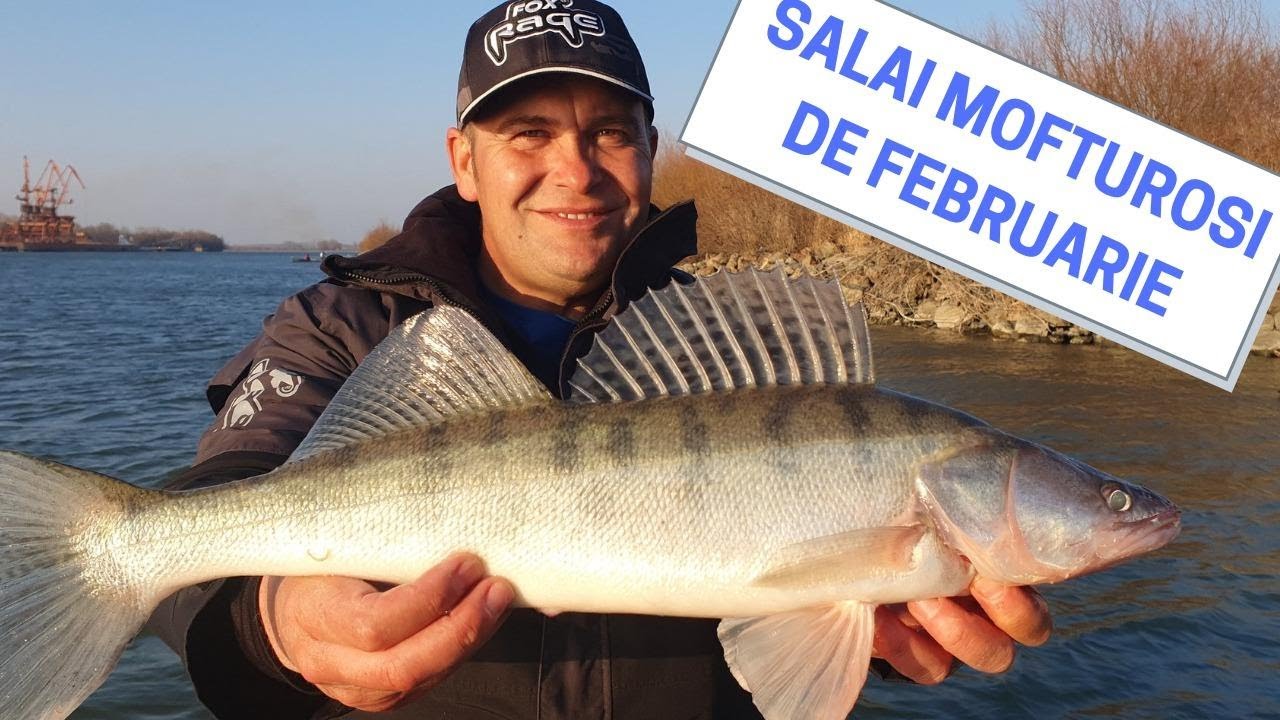 Pescuit la salau pe Dunare, la Tulcea, cu Gigant Fish Team.