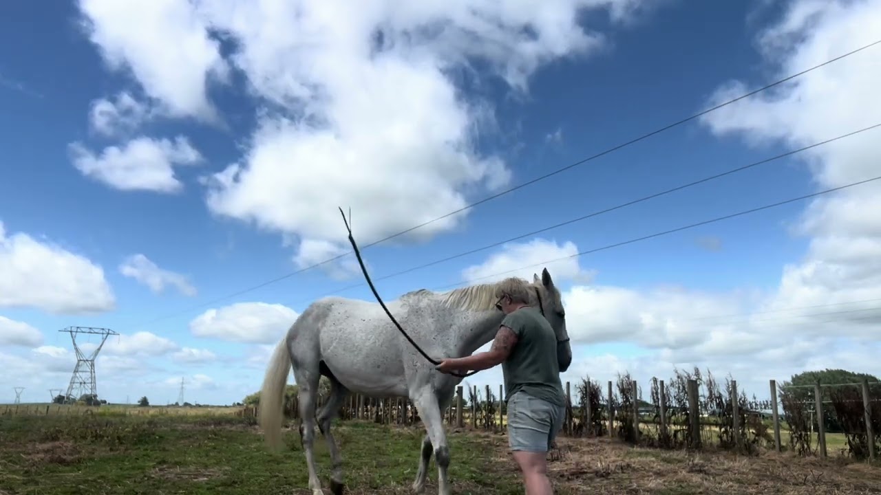 More TRT with Poppy