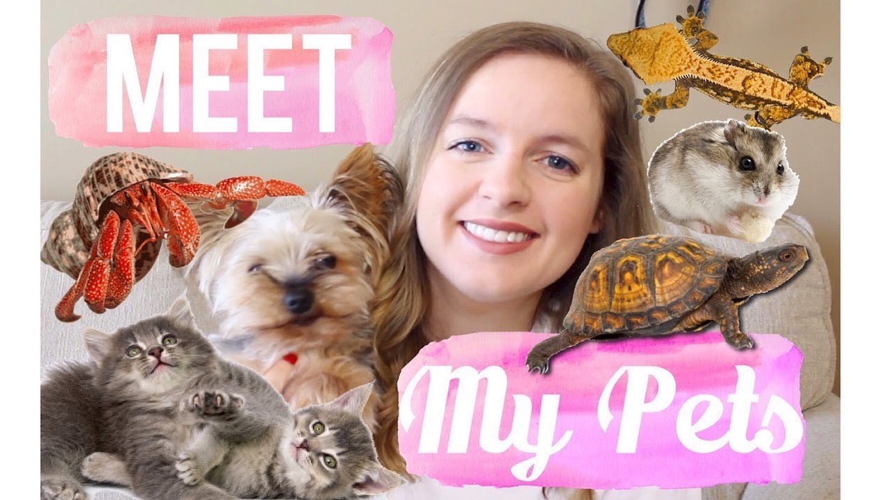 Meet My Pets (All 12) + Their Rescue Stories