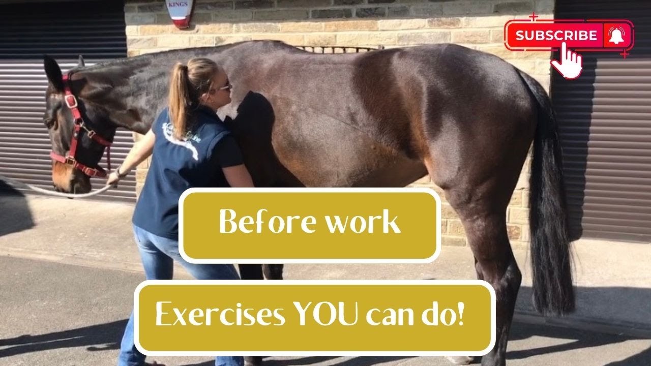 Horse Before and After Work routine