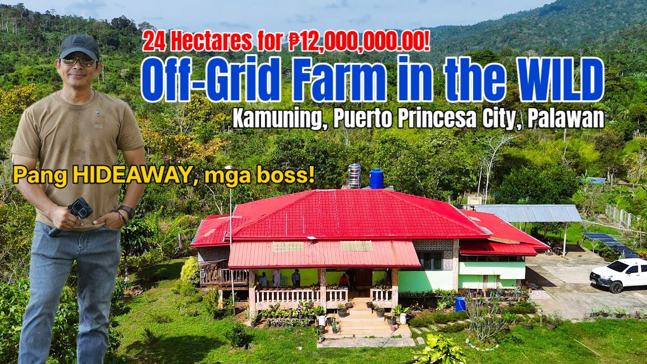 ₱12M for 24 Hectares?! Hidden Farm in Puerto Princesa City, Palawan