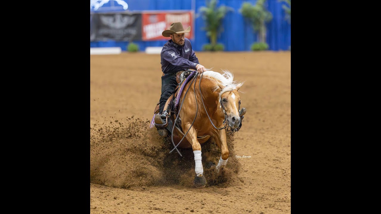 blame the corona shown by Trevor Elliot Dare   2024 NRBC Derby Open Finals