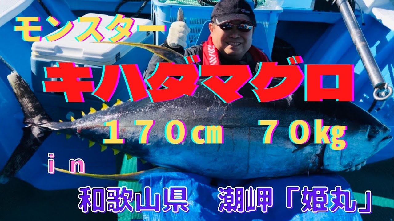【船釣】モンスター級キハダマグロを釣る🎣❗