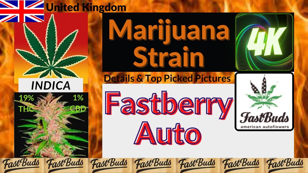 Fastberry Auto Fast Buds Genetics Details