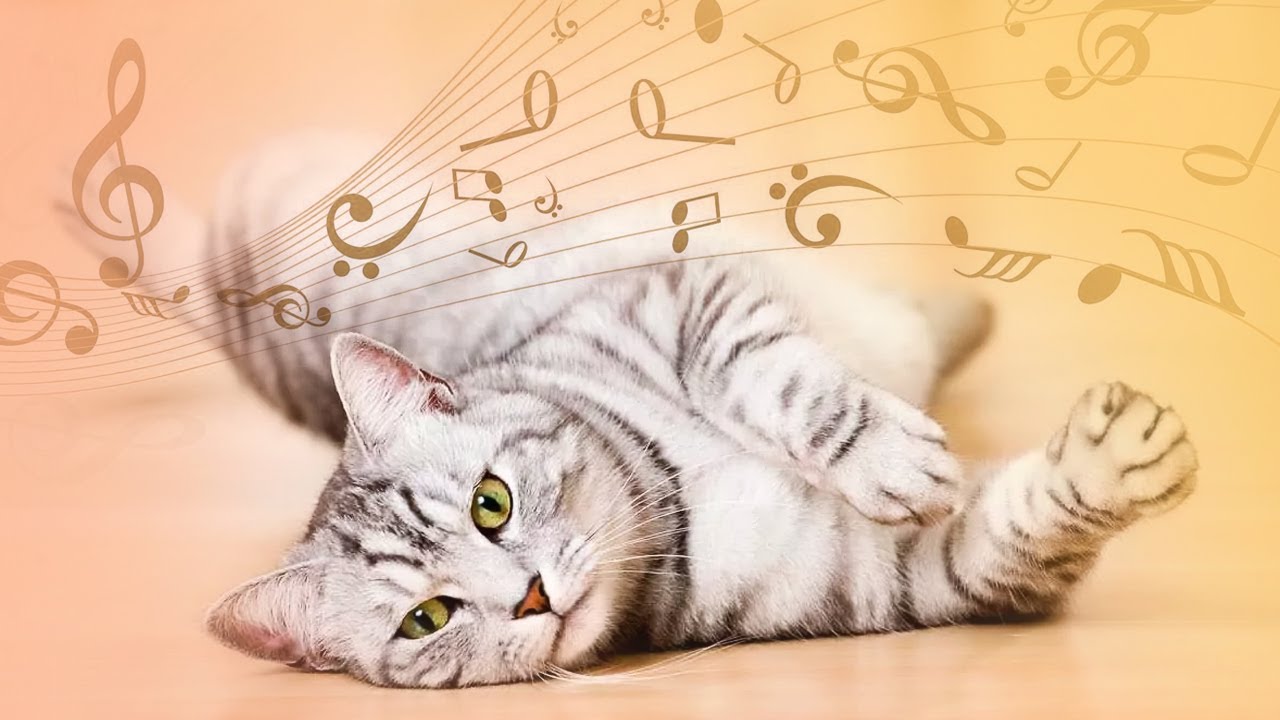 432 Гц музыка для кошек и животных 10 часов ♬ Фоновая музыка для кошек со звуками птиц