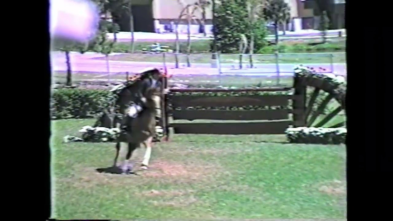 1990 Northern Magic и Beezie во Флориде