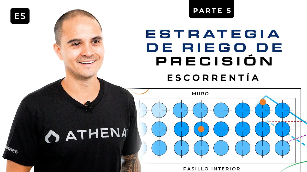 Estrategia de Riego de Precisi&oacute;n &ndash; Parte 5: Escorrent&iacute;a