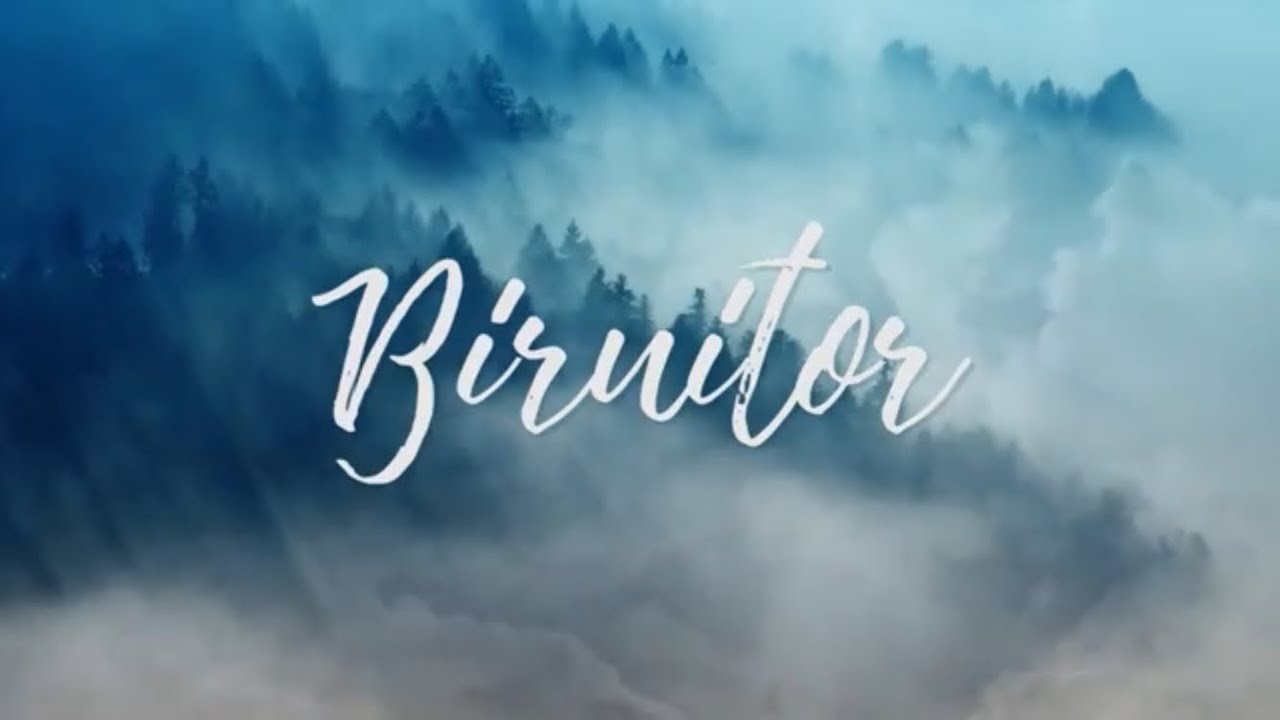 Revive &ndash; BIRUITOR