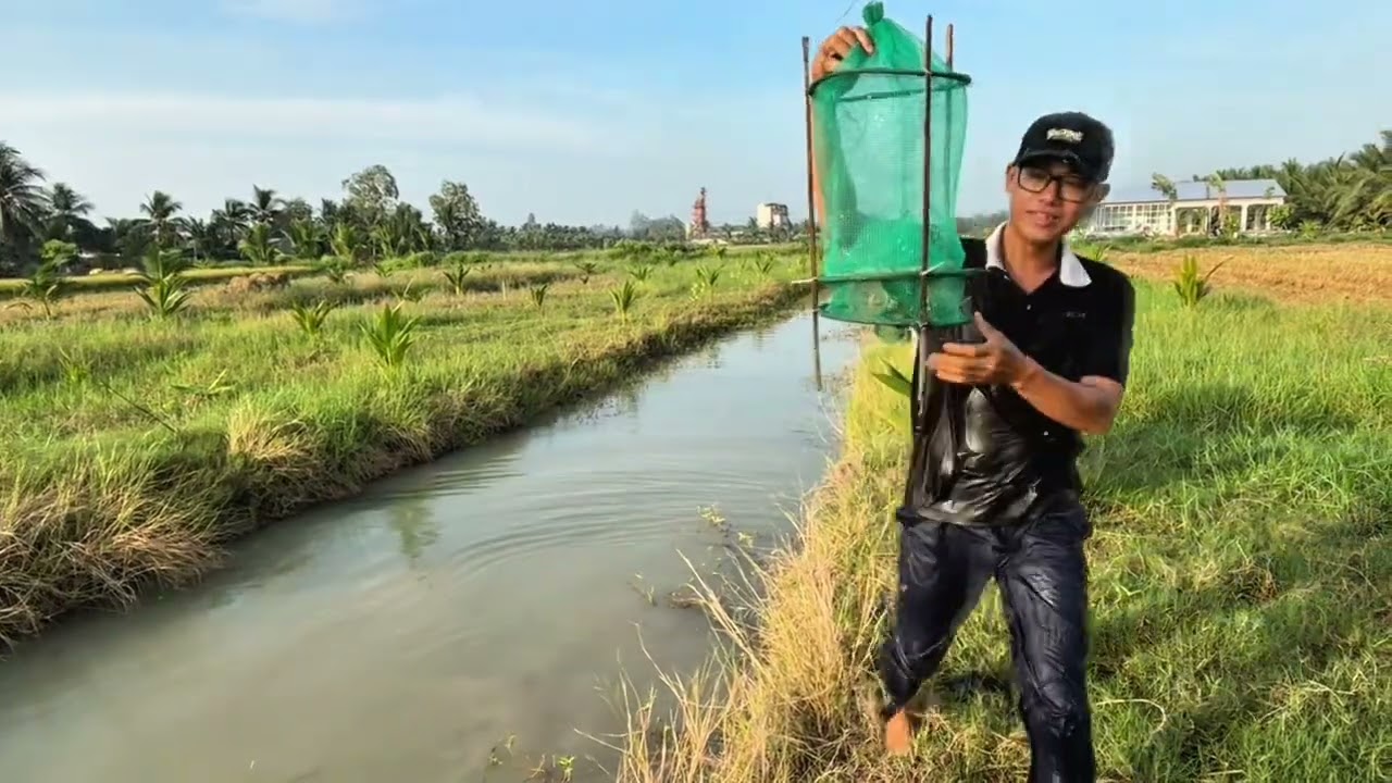 Một Ngày Đi Đặt Lợp Tép Cải Tiến Sẽ Như Thế Nào