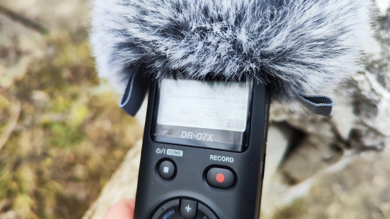 TASCAM DR-07X Recording Test