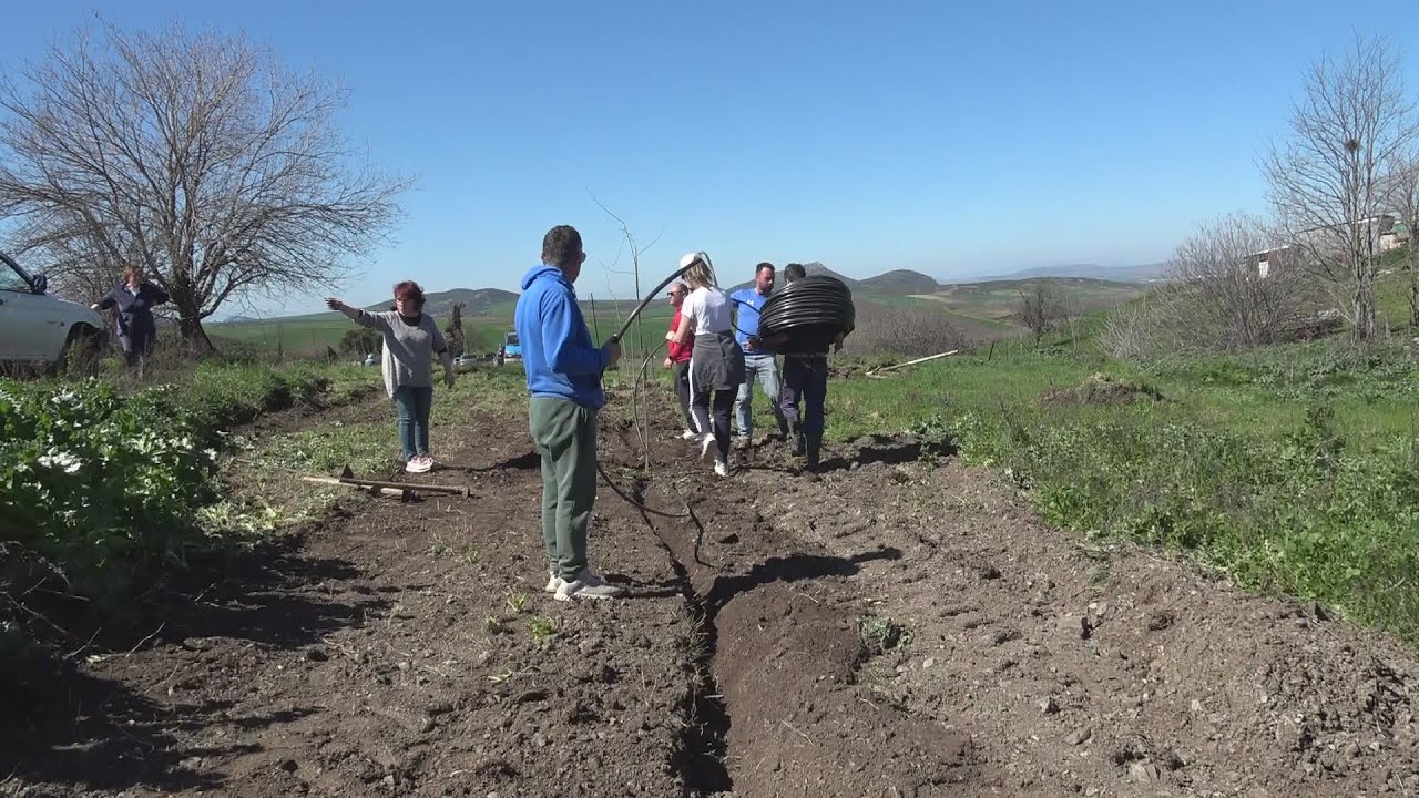 Δενδροφύτευση στην Τοπική  Κοινότητα  Δένδρων Φαρσάλων Κυριακή 9 Μαρτίου 2025