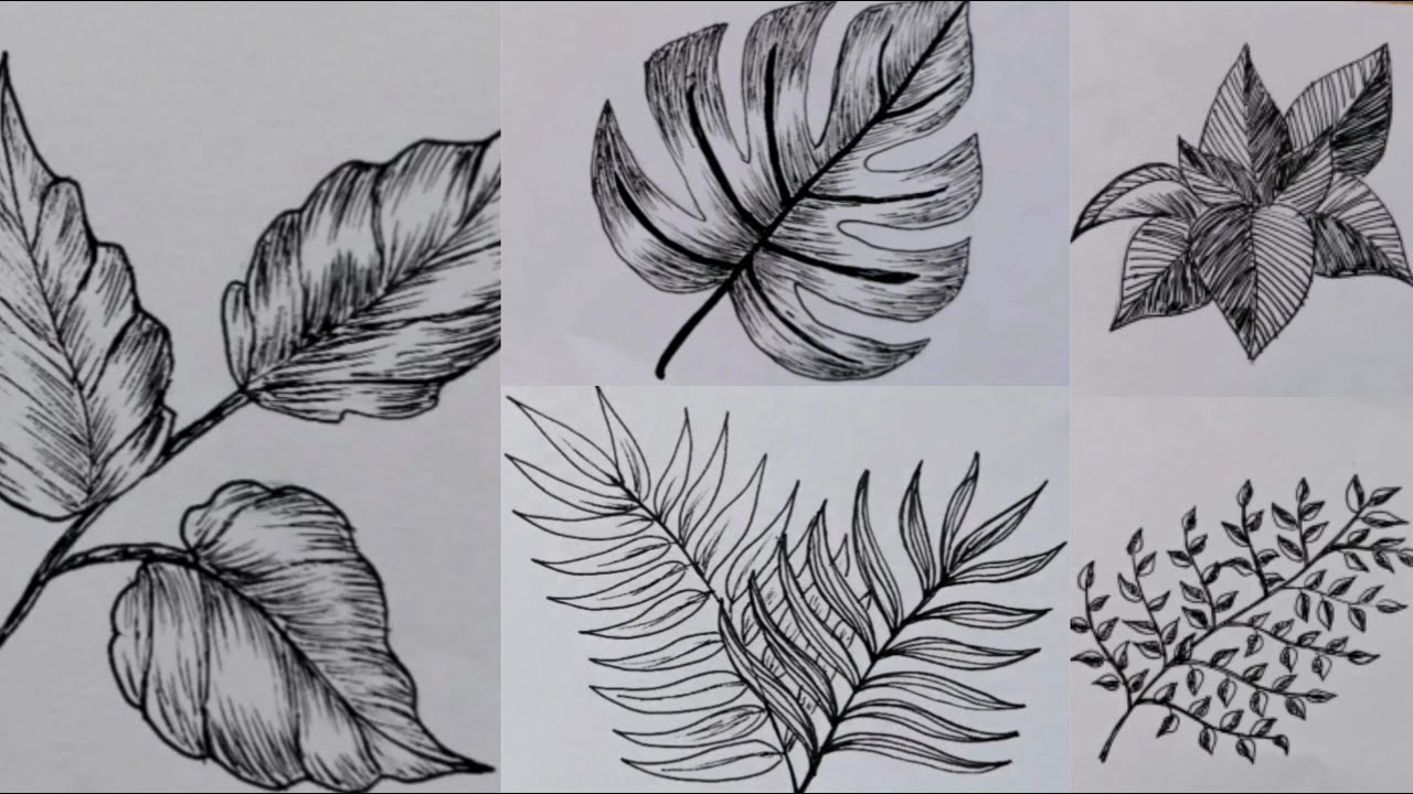 تعلم رسم ورق الشجر بطريقه سهله وبسيطه بالقلم الحبر / الجزء الأول