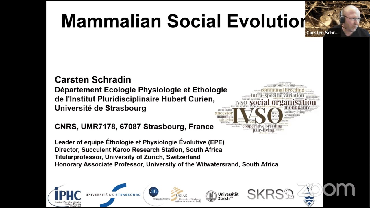 Carsten Schradin: Mammalian Social Evolution (1 Sept. 2020)